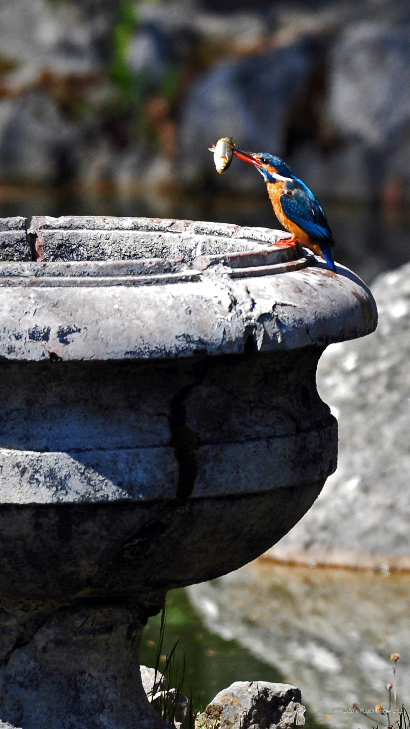 Motorola Moto Z Force Background - HD Wallpaper 