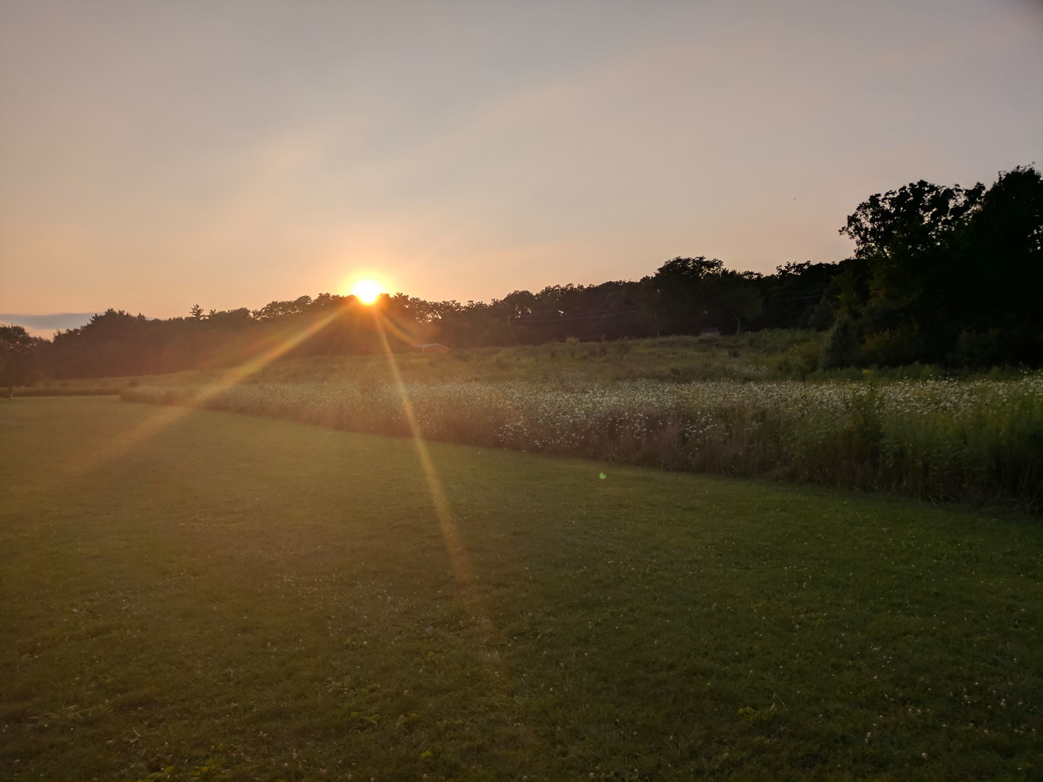 Sunlight - HD Wallpaper 