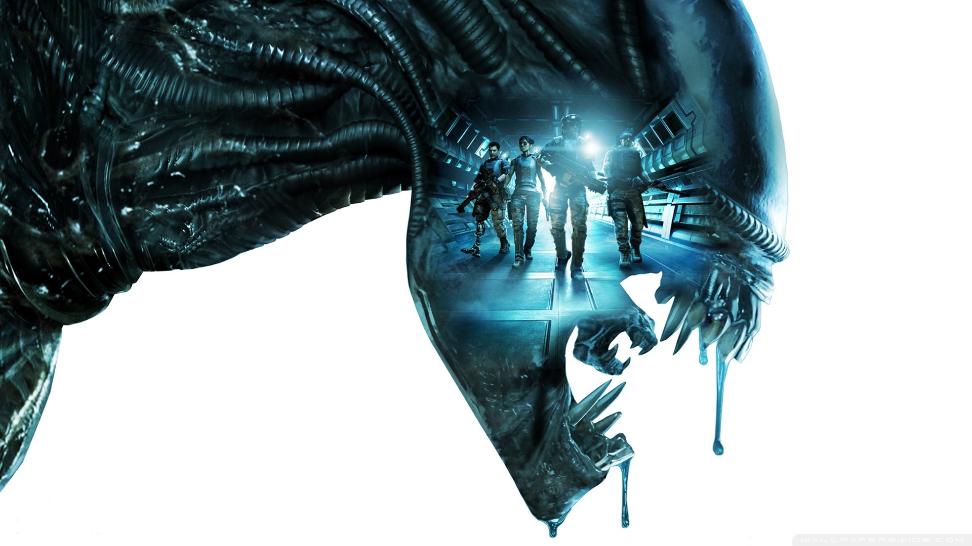 Aliens Colonial Marines - HD Wallpaper 