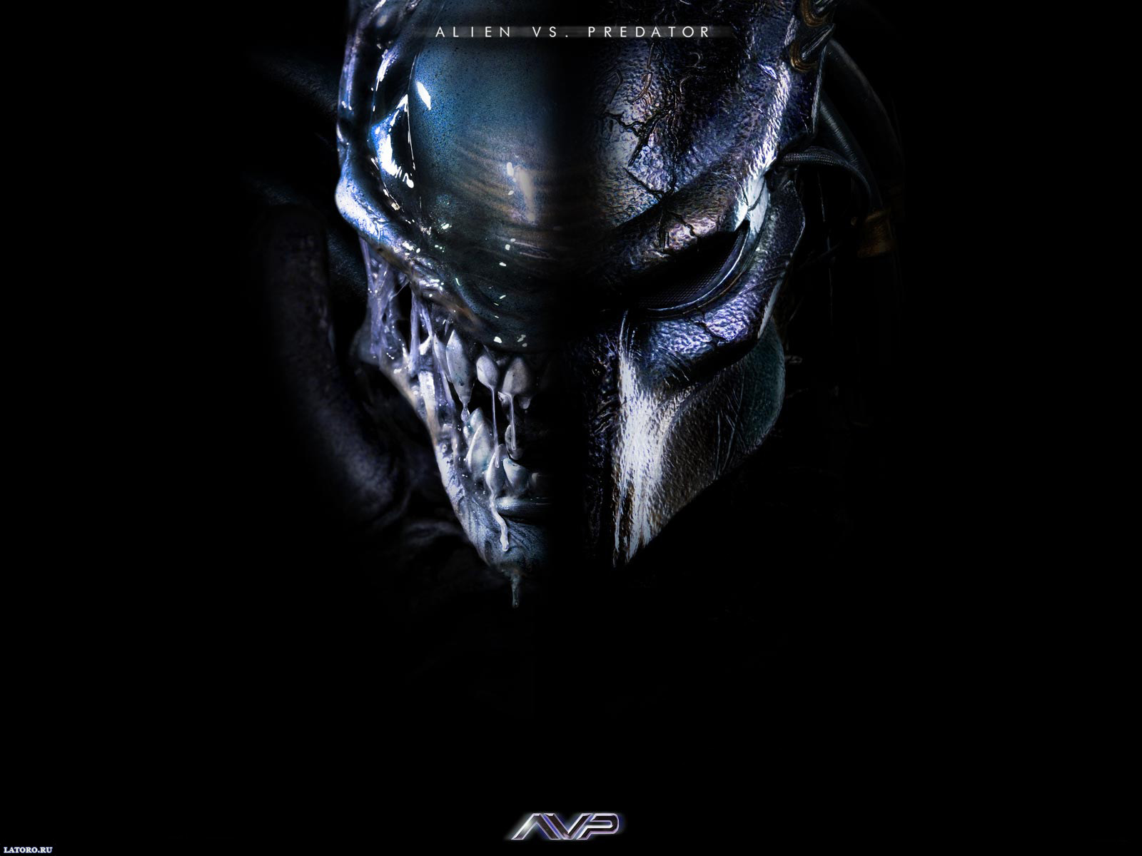 Desktop Wallpapers Free Alien Vs Predator - Aliens Vs Predator Requiem Para Psp - HD Wallpaper 