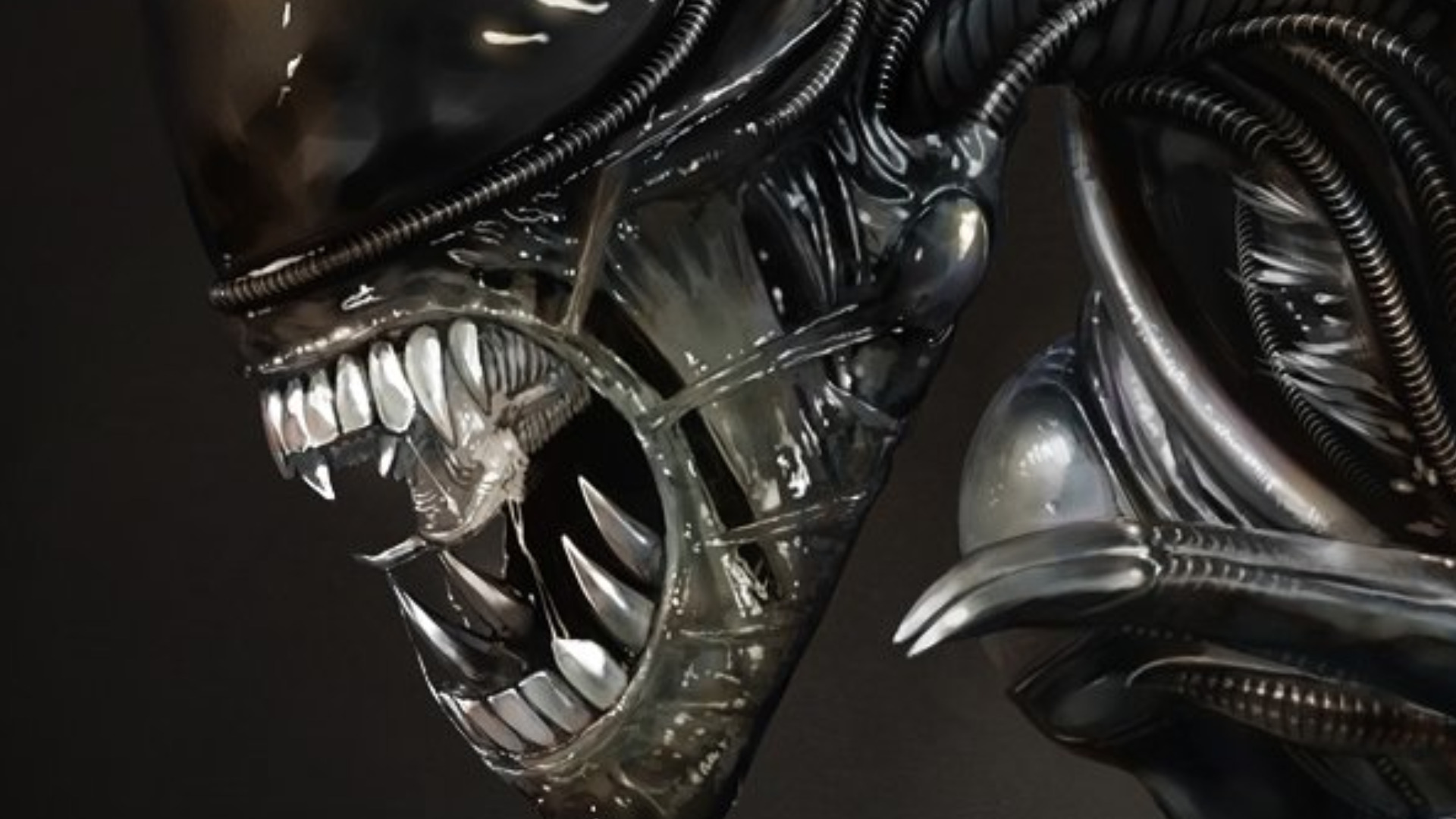 Fondos De Pantalla Hd Aliens - HD Wallpaper 