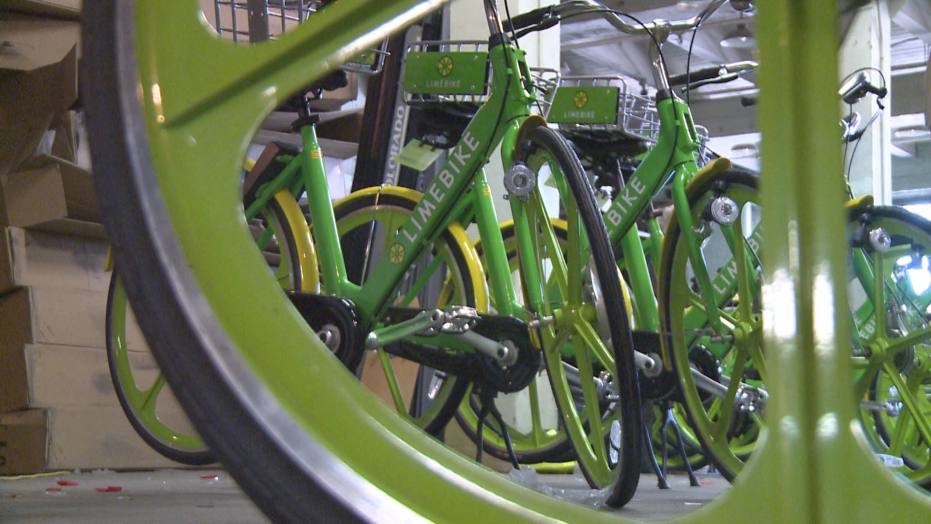 Bicycle Frame - HD Wallpaper 