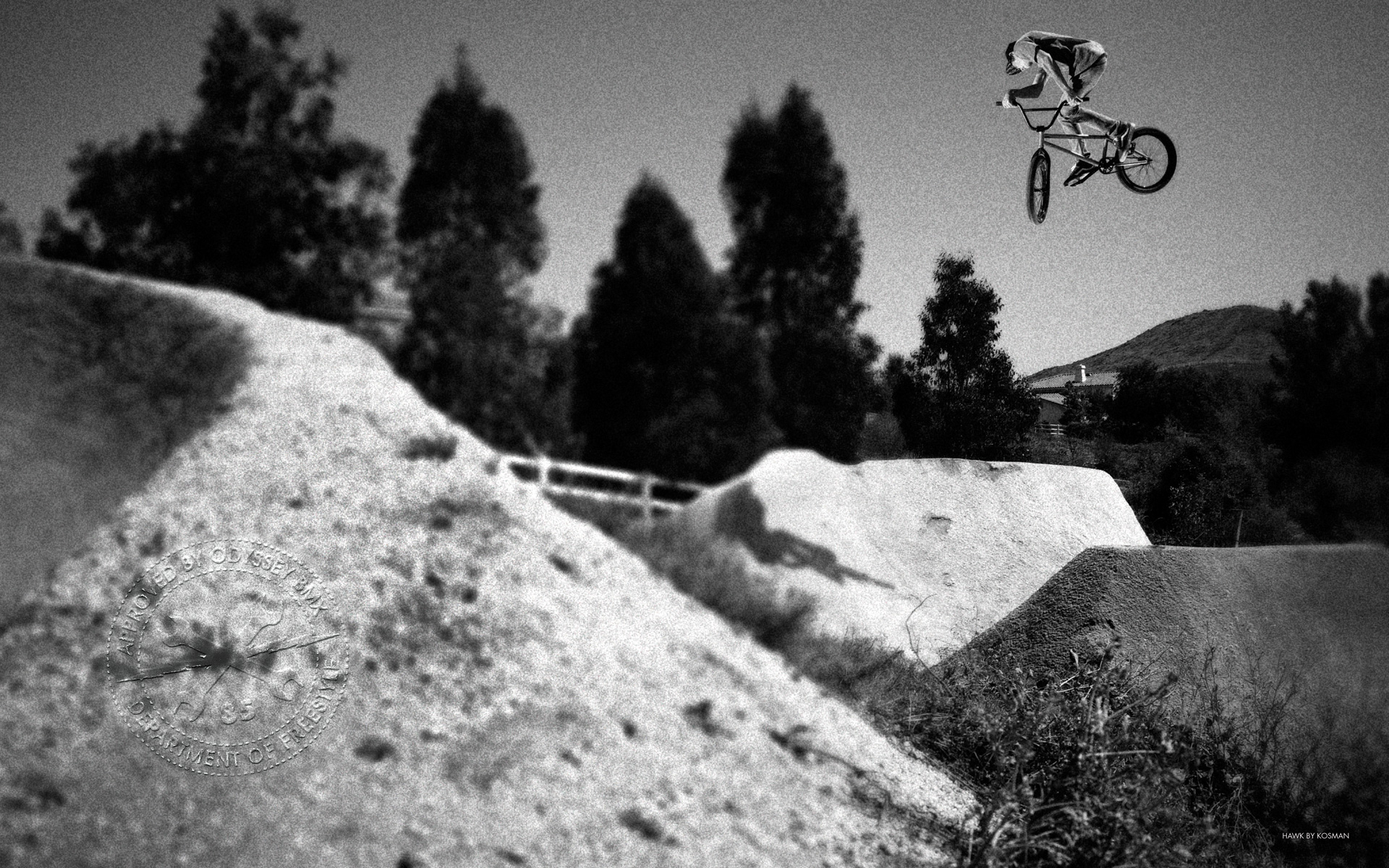 Odyssey Bmx Wallpaper - Chase Hawk - HD Wallpaper 