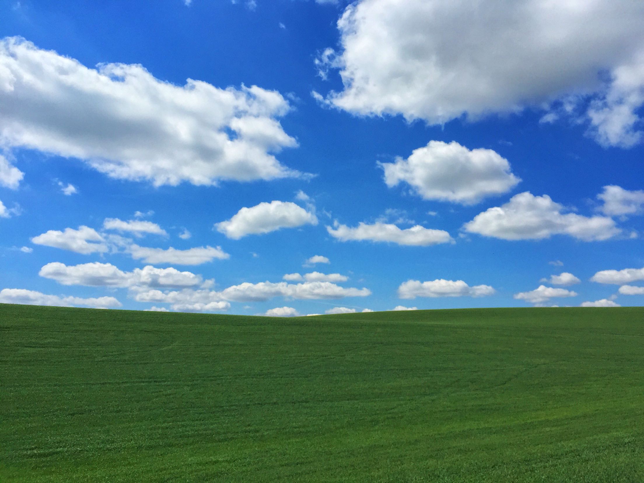 windows xp background now windows xp background now