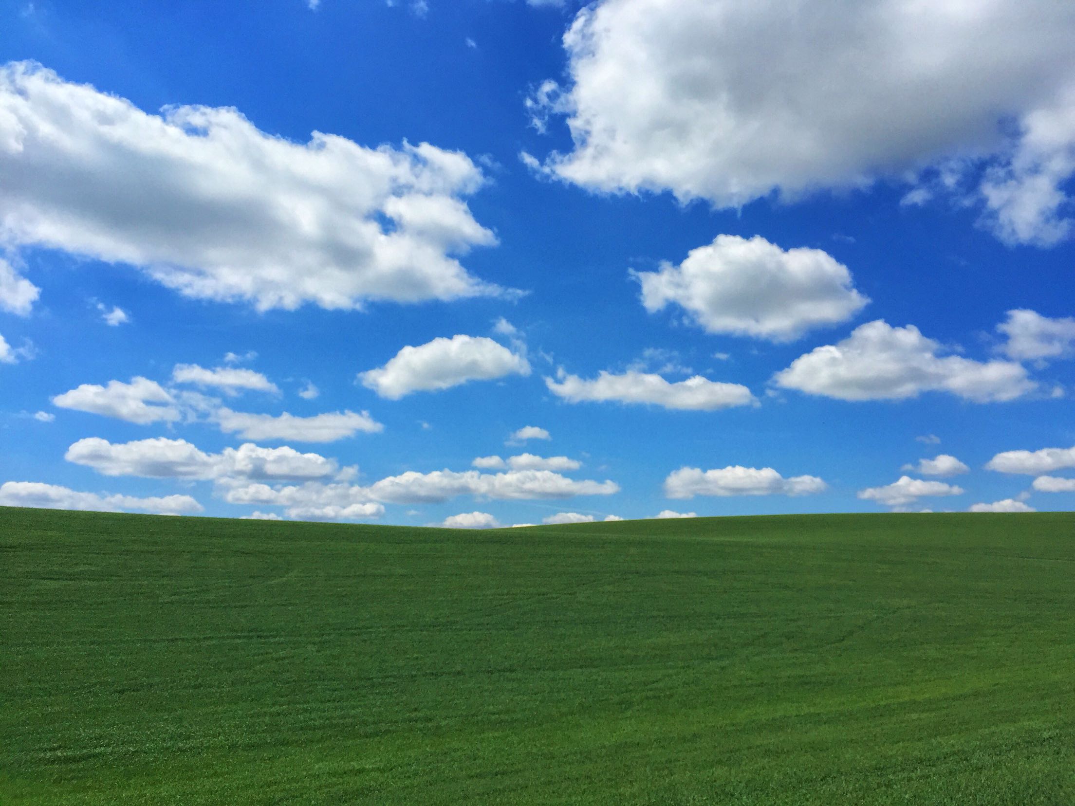 Los Carneros Windows Xp Now - HD Wallpaper 