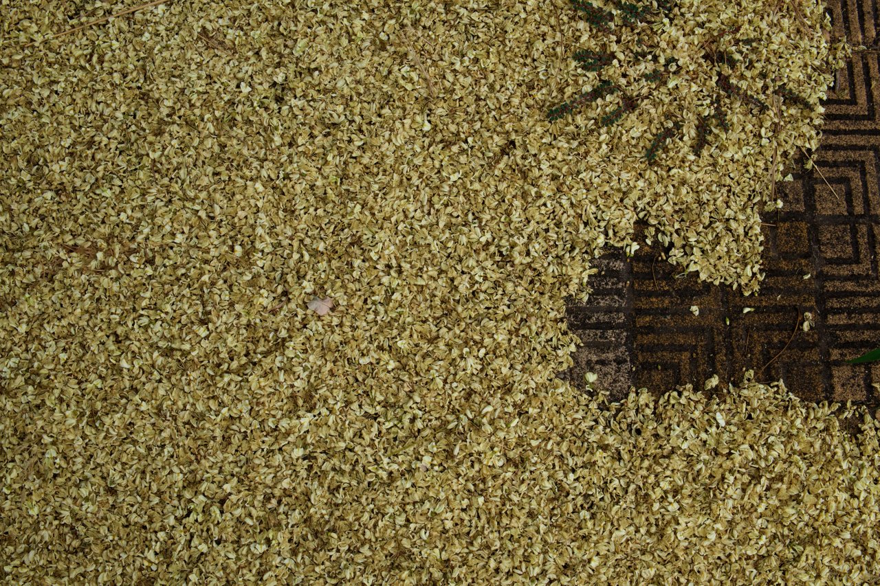 Sand - HD Wallpaper 