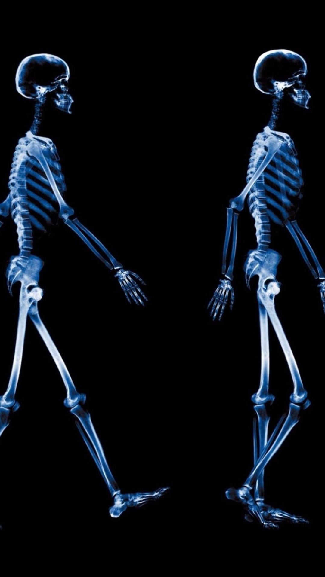 Iphone Xray Wallpaper Skeleton - HD Wallpaper 