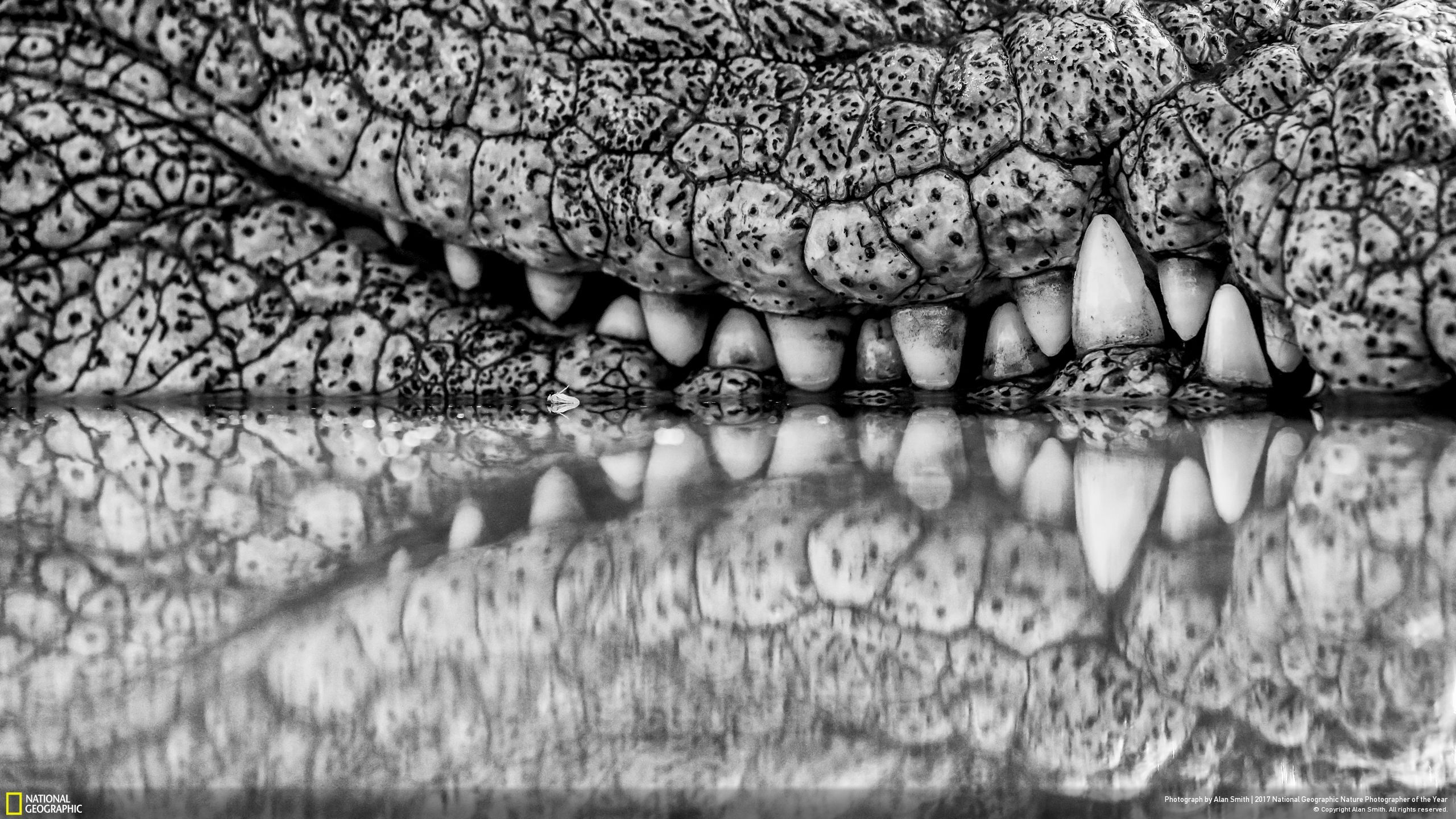 Photography - HD Wallpaper 