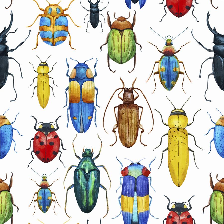 Bugs Watercolor - HD Wallpaper 
