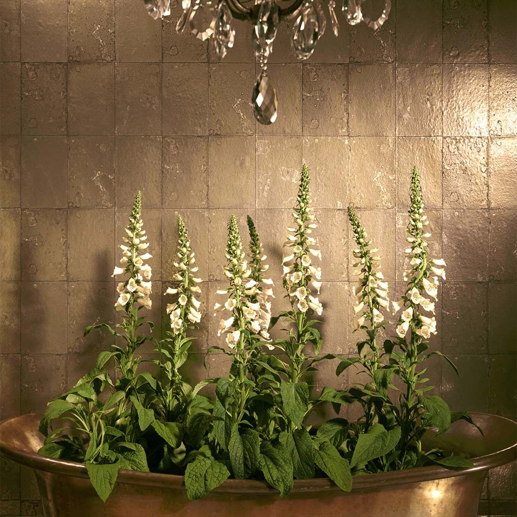 Antique Mirror 92 - HD Wallpaper 