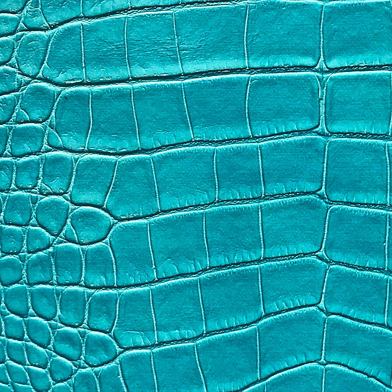 Wsmac07 Australian Croc - Swimming Pool - HD Wallpaper 