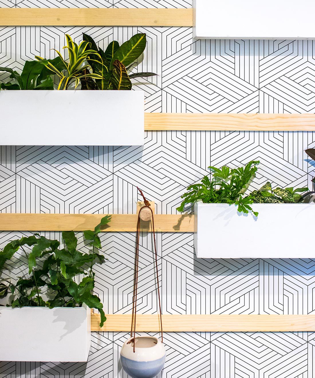 Office Decor Plant Wall - HD Wallpaper 