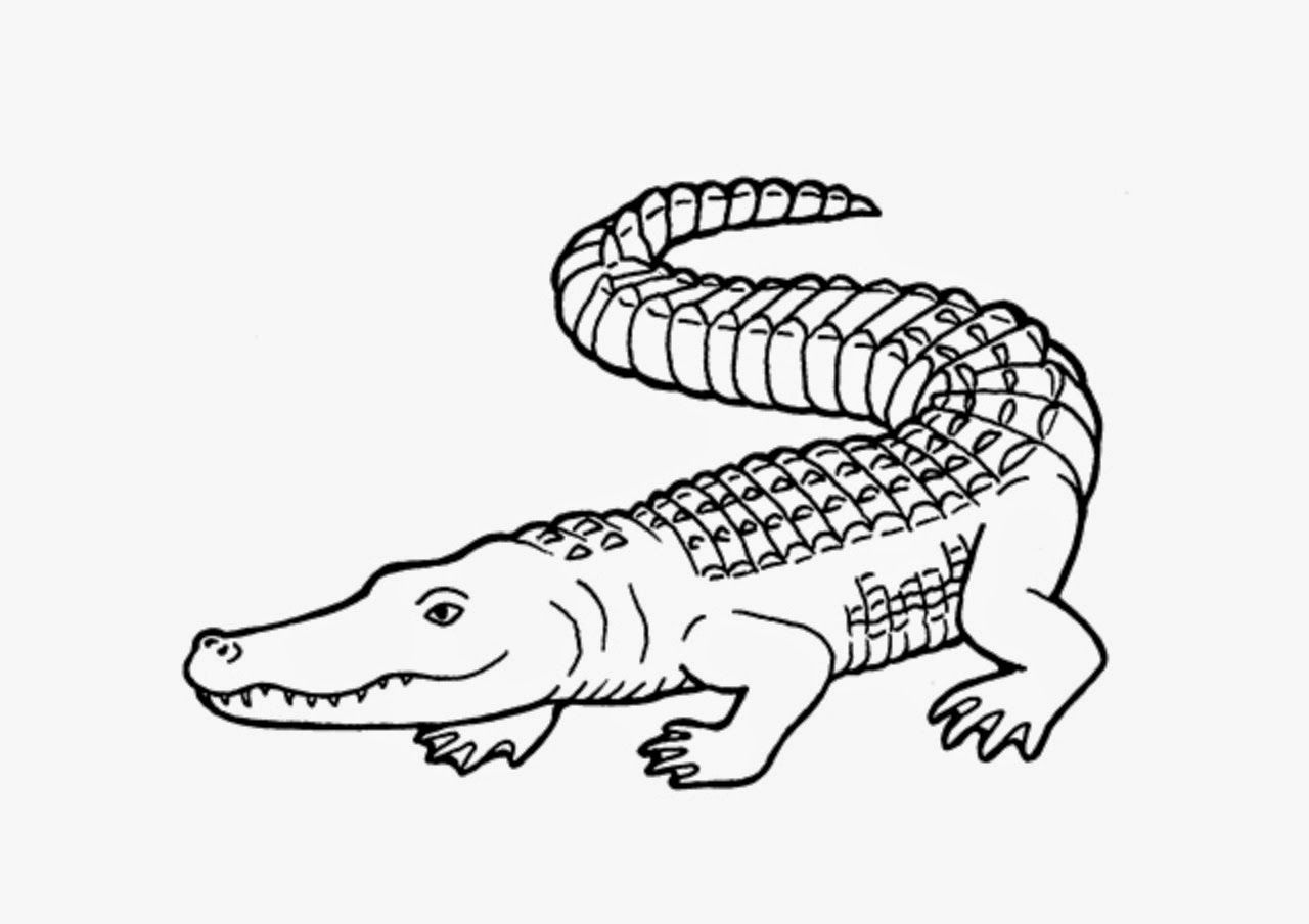 Crocodile Clipart Drawn - Crocodile - HD Wallpaper 