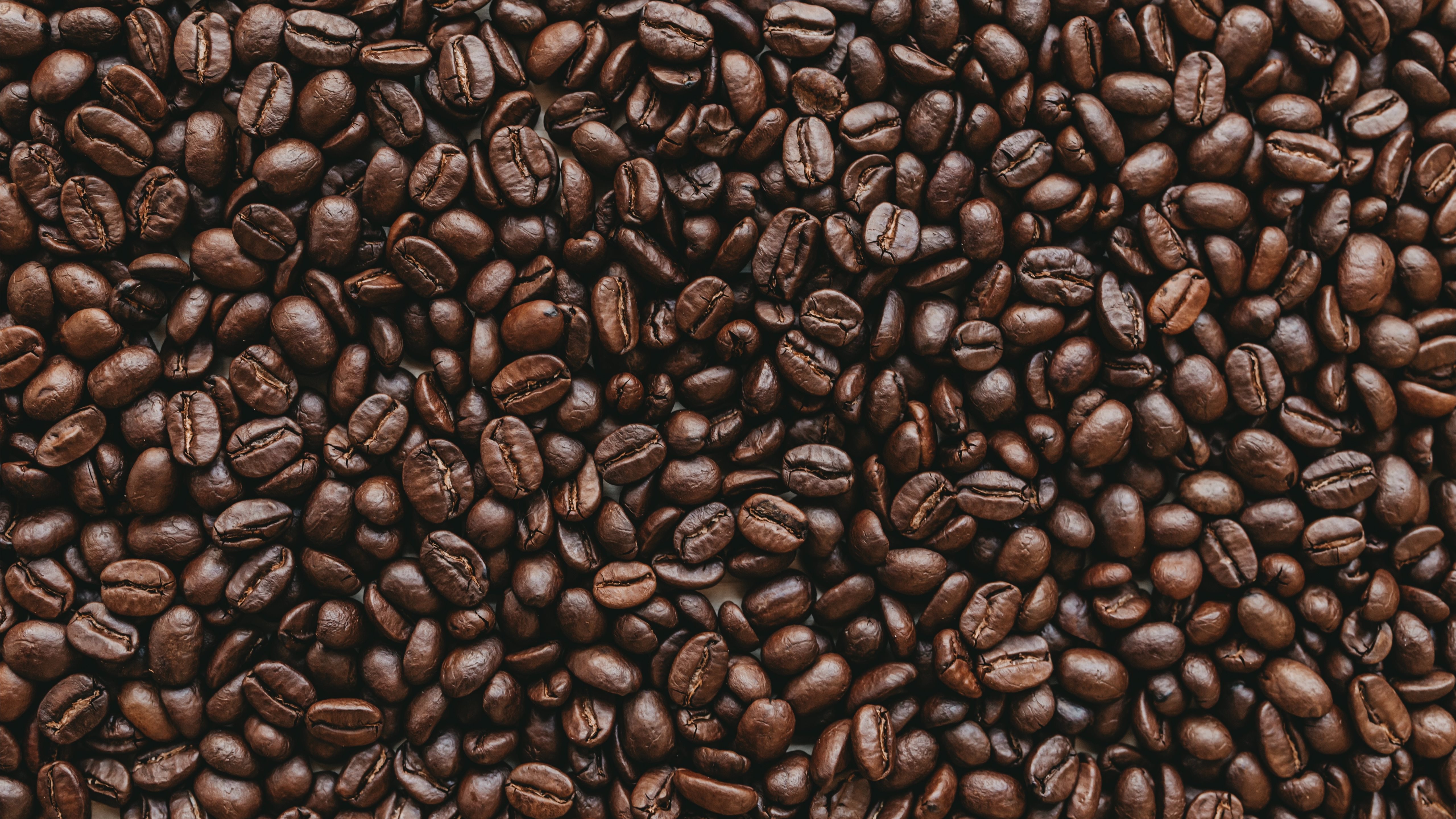 Orange - HD Wallpaper 