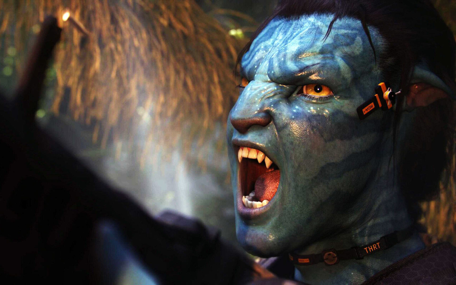 Avatar Movie Wallpaper Widescreen - HD Wallpaper 