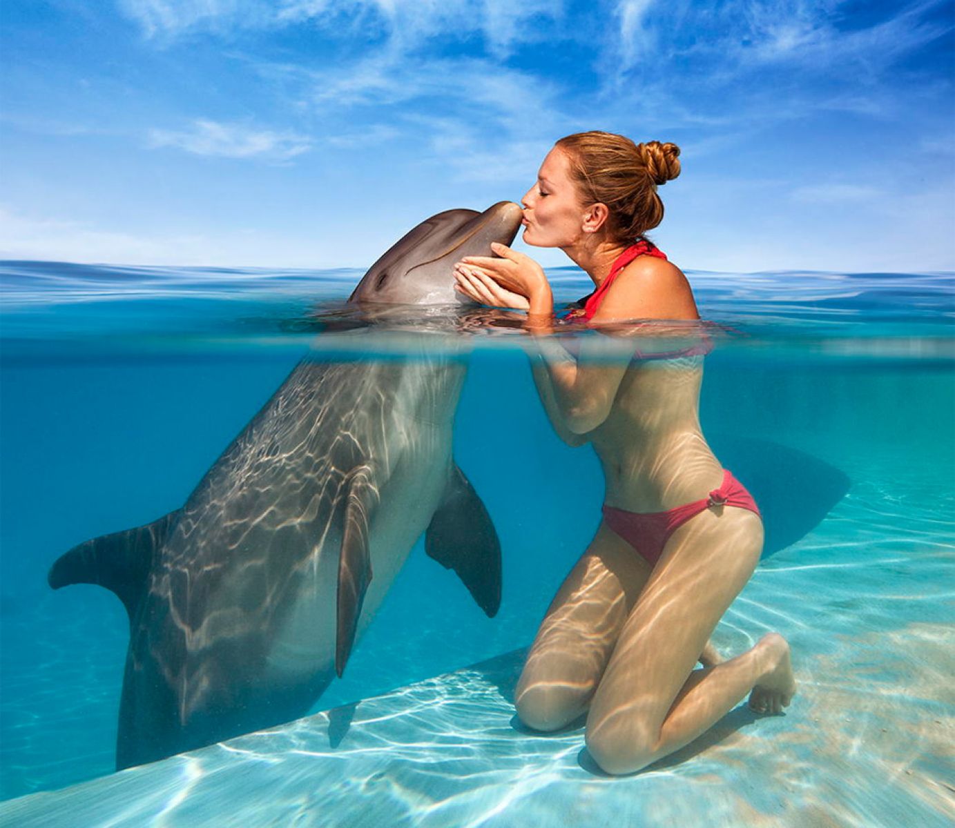 Giving A Kiss To A Dolphin Wallpaper - Dolphin Cove Jamaica - HD Wallpaper 