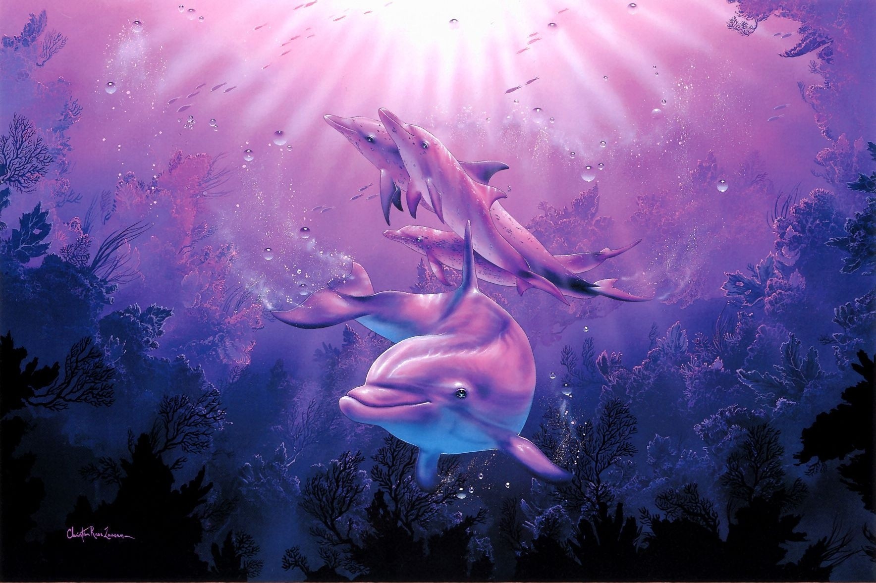Pink Dolphin - HD Wallpaper 