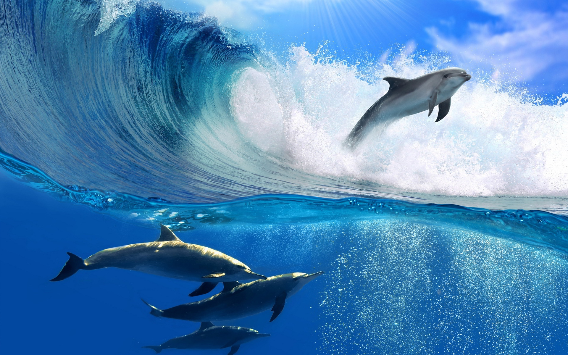 Dolphin Wave Wallpaper Hd Wallpaper Top - Dolphins In Wave - HD Wallpaper 