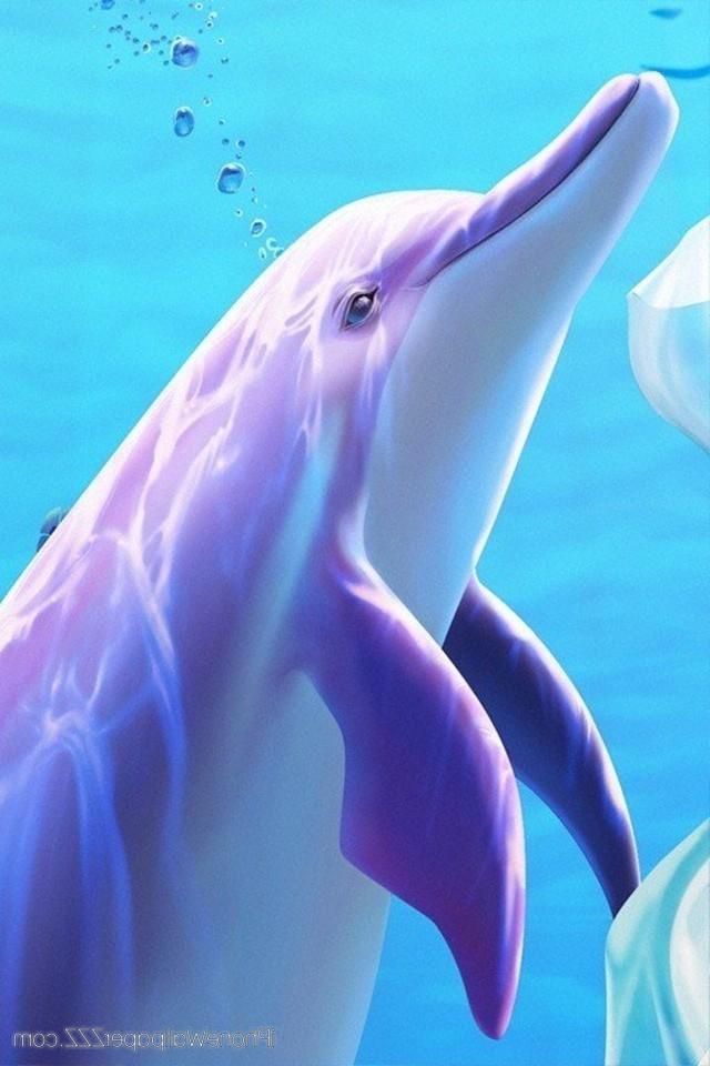 Cute Wallpaper Iphone Dolphin - HD Wallpaper 