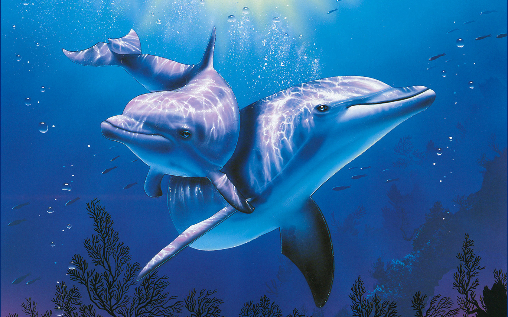 3d Dolphins Cartoon Wallpaper Picture - High Resolution Dolphin - 1680x1050  Wallpaper 