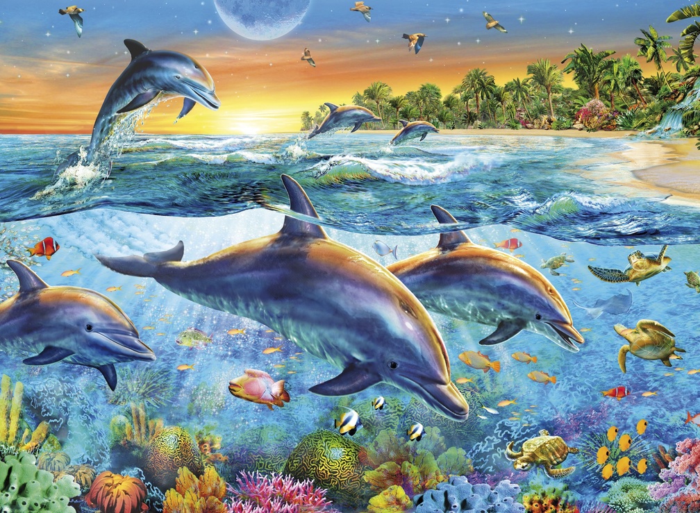 Dolphin Fish - HD Wallpaper 
