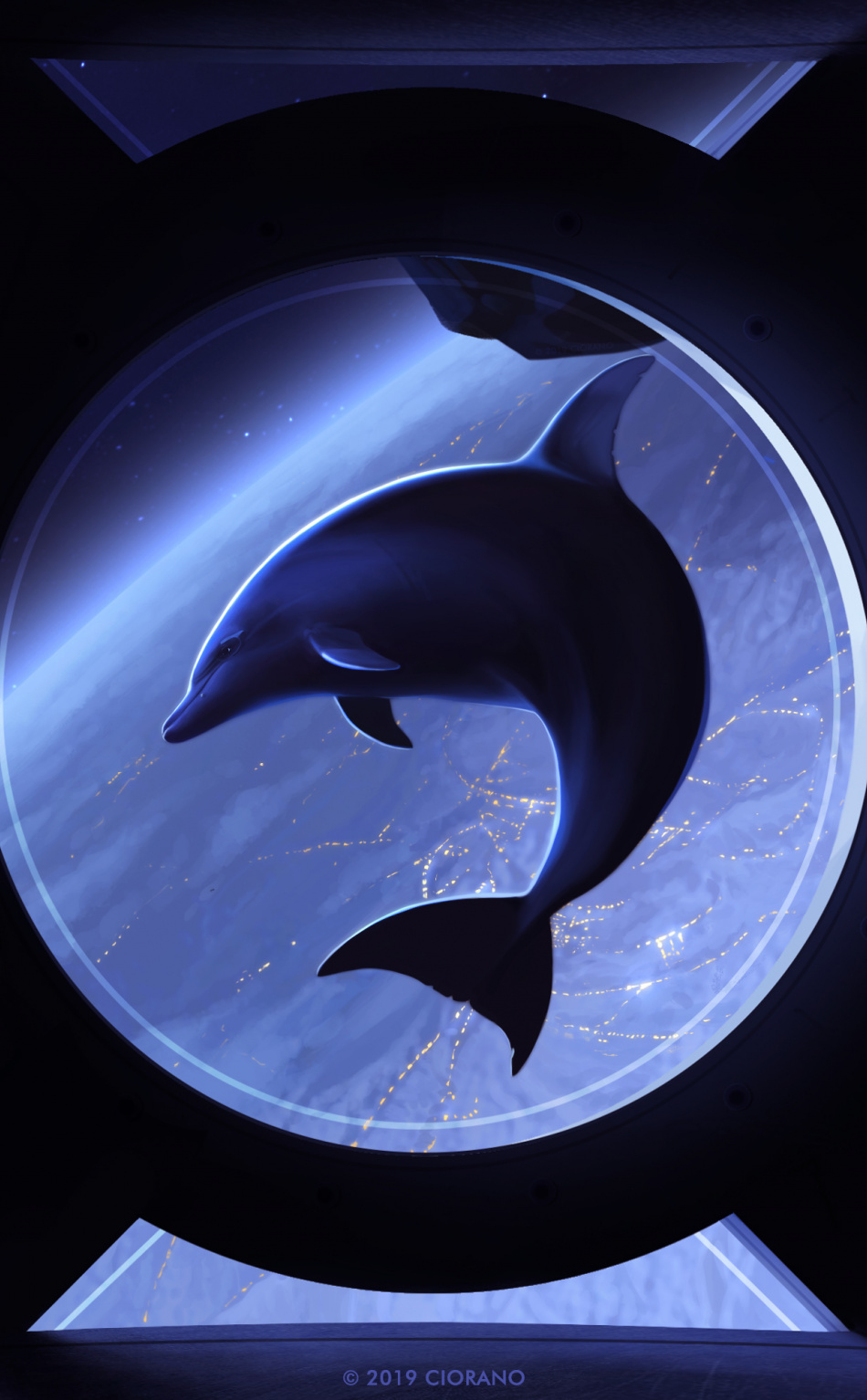 Spaceship, Dolphin, Art, Wallpaper - HD Wallpaper 