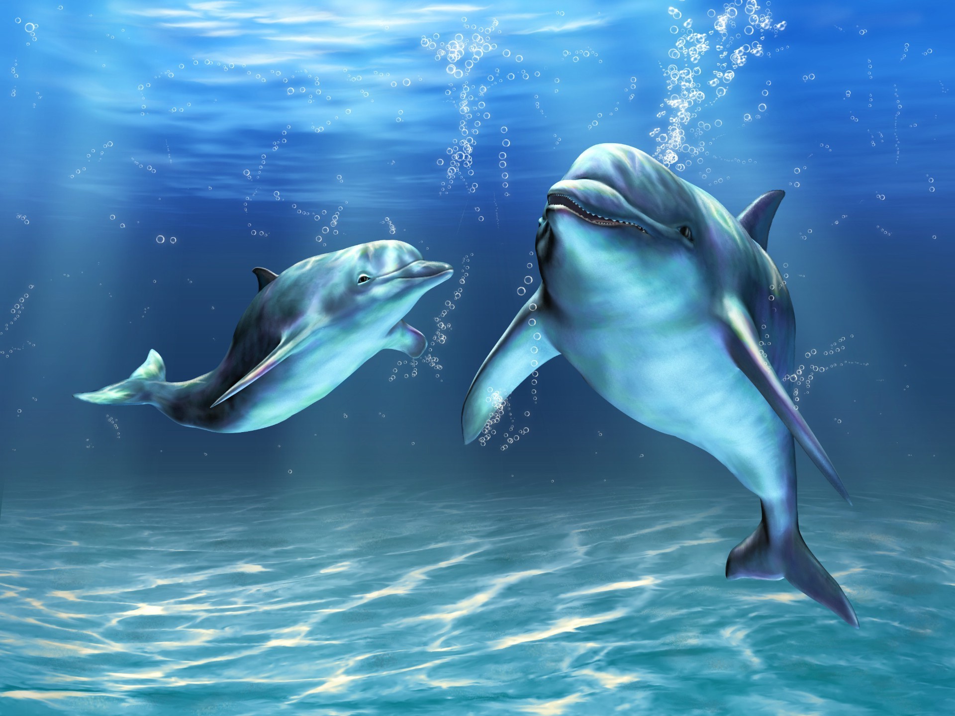 Dolphin Underwater Fish Swimming Water Diving Ocean - Zwei Delfine Unter Wasser - HD Wallpaper 