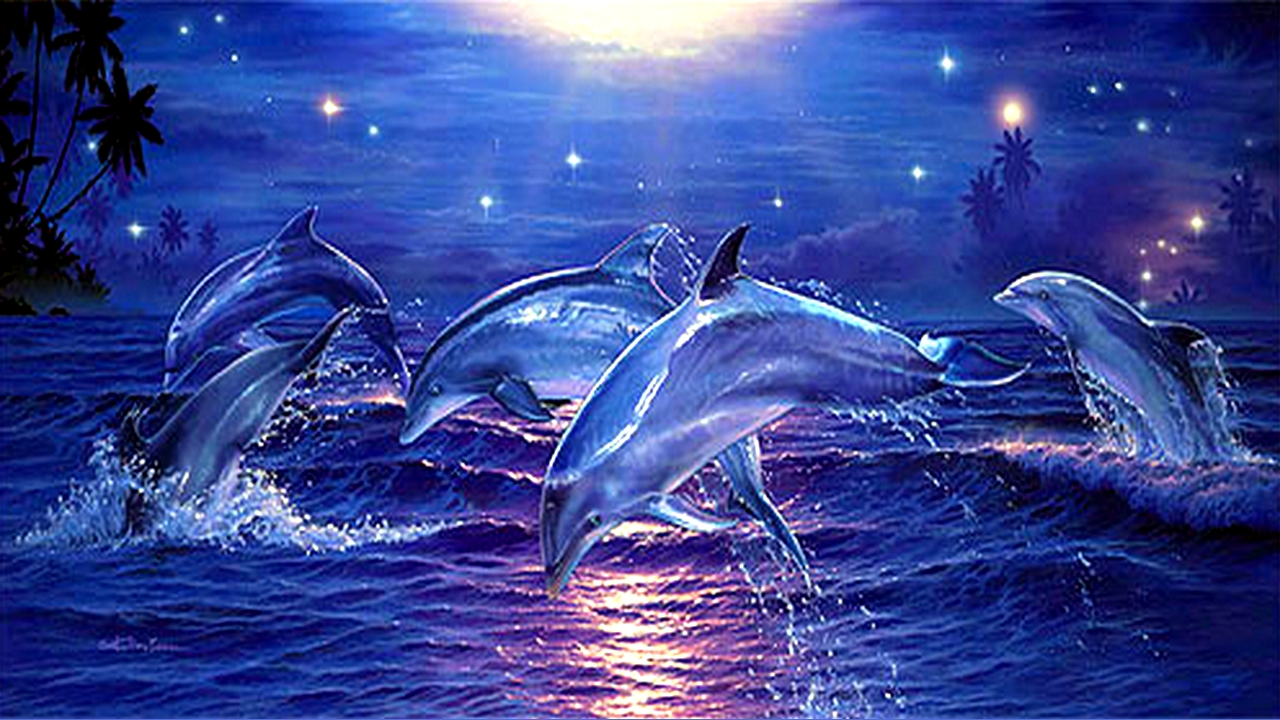 Dolphin Hd Desktop Wallpaper - Dolphin Wallpapers For Laptop - 1280x720  Wallpaper 