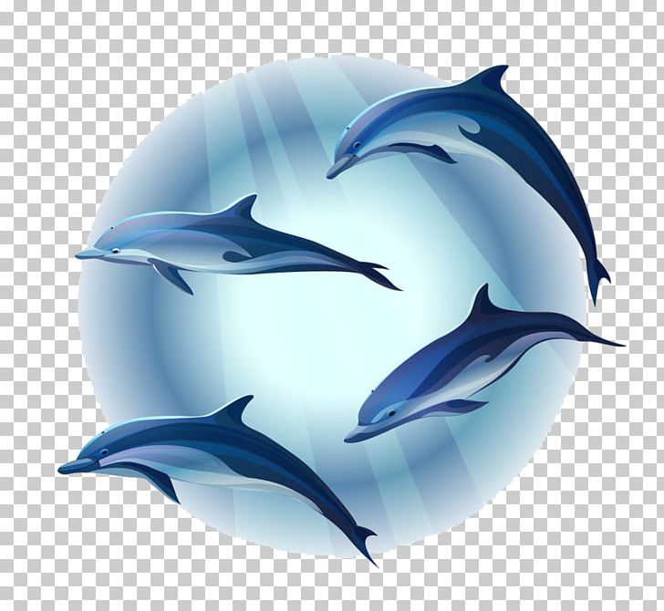 Dolphin Mural Png, Clipart, Animals, Automotive Design, - HD Wallpaper 