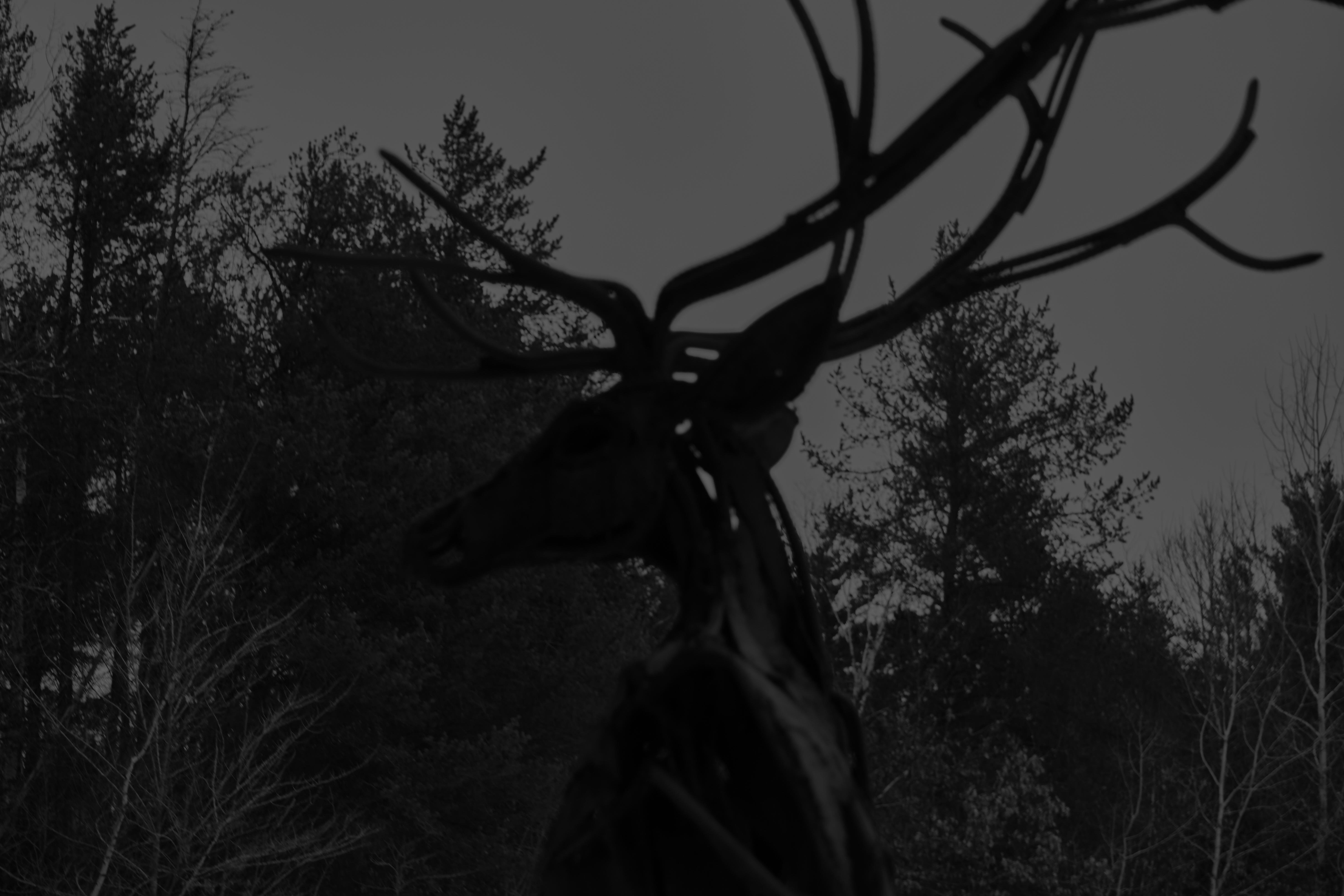 B And W Metal Stag Wallpaper - HD Wallpaper 