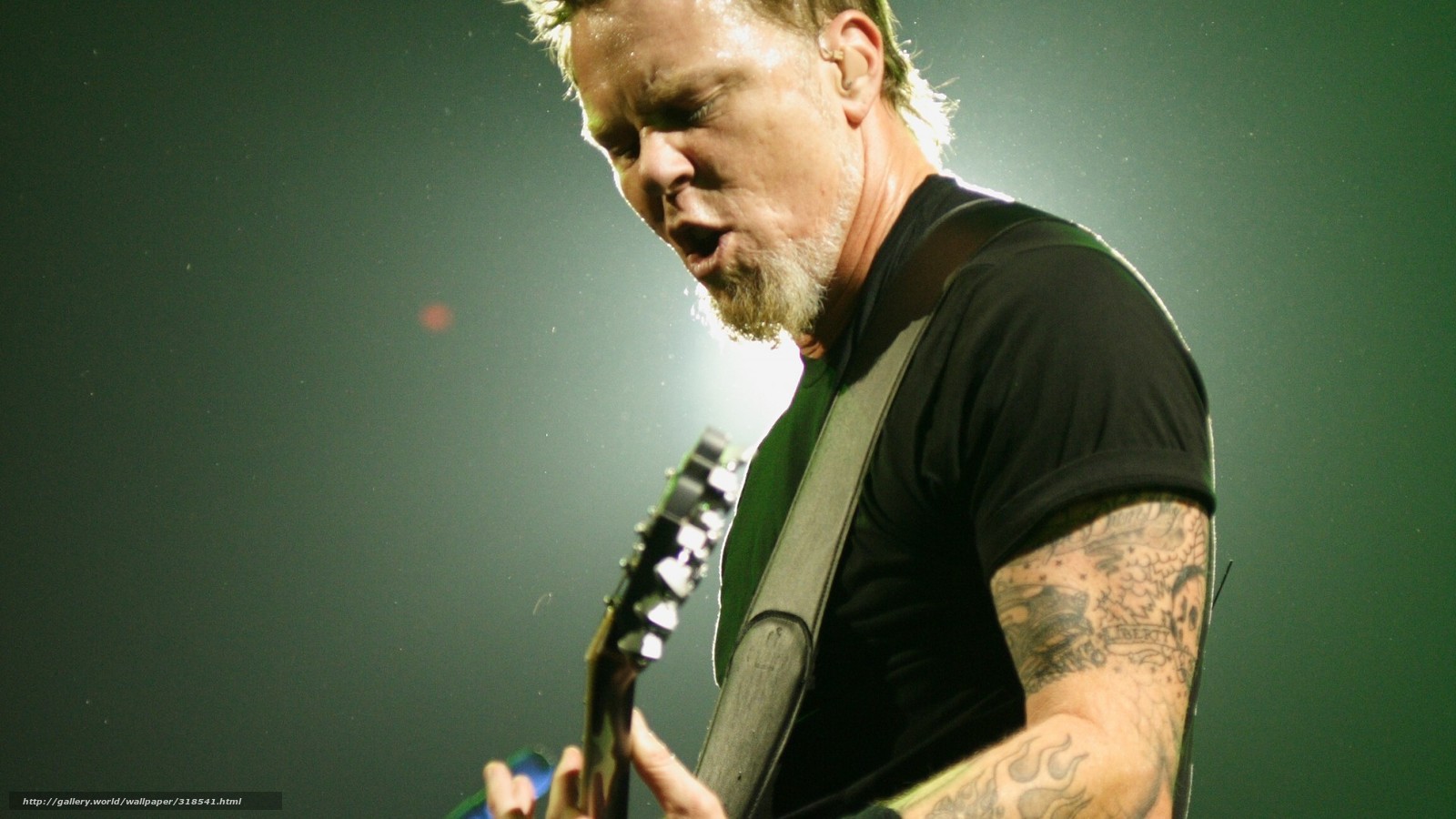 Download Wallpaper Concert, Heavy Metal, Thrash Metal, - Chad Kroeger James Hetfield - HD Wallpaper 