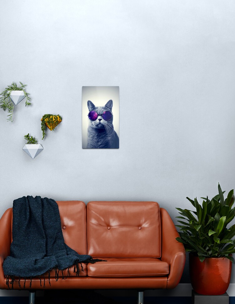 Animal Crossing Froggy Chair Meme - HD Wallpaper 