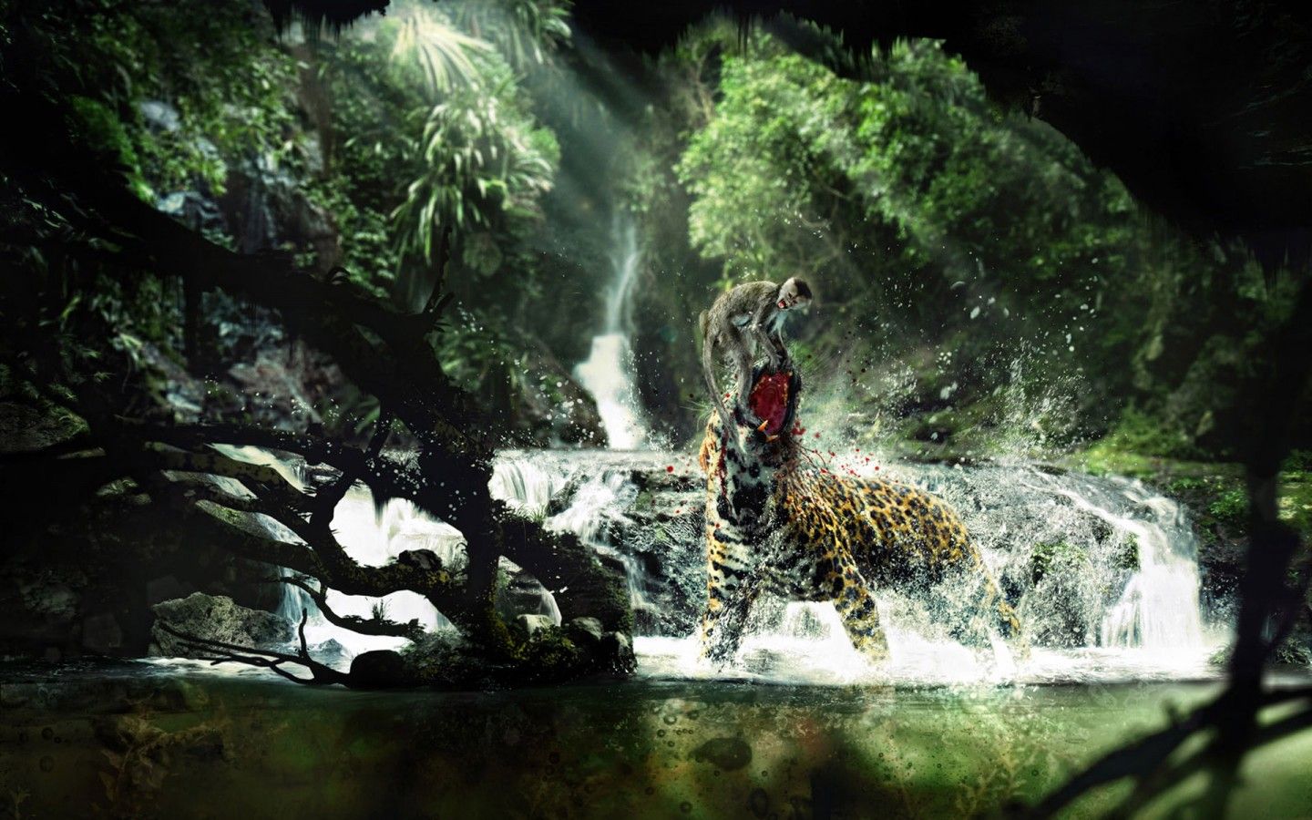Wildlife Hd Wallpapers Group - Wild Animals Wallpapers Hd - 1440x900 Wallpaper Wildlife Hd Wallpapers Group - Wild Animals Wallpapers Hd - 1440x900 Wallpaper