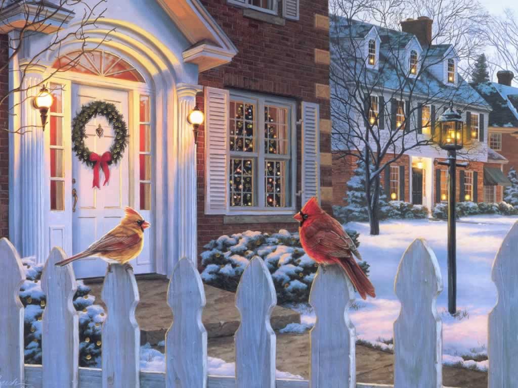 Birds At Front Door At Xmas - Darrell Bush Christmas - HD Wallpaper 