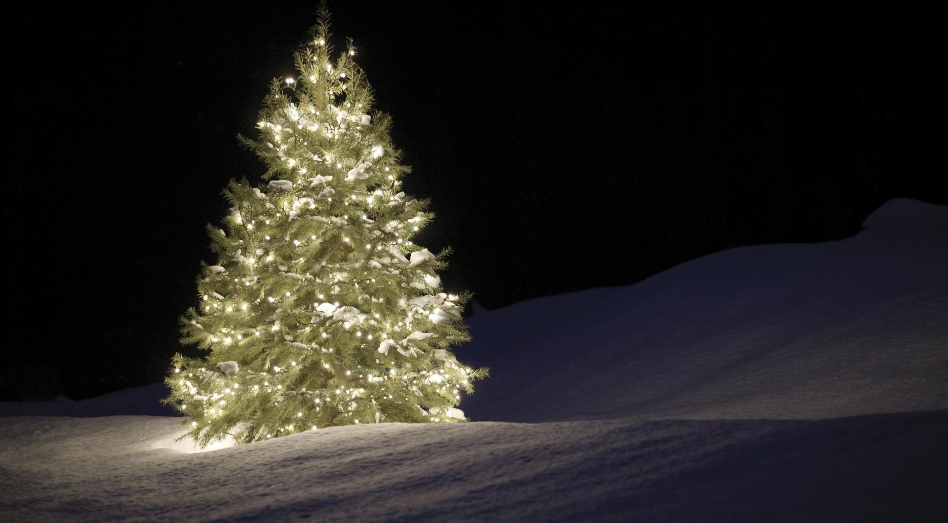 Lighted Christmas Tree In Snow - HD Wallpaper 