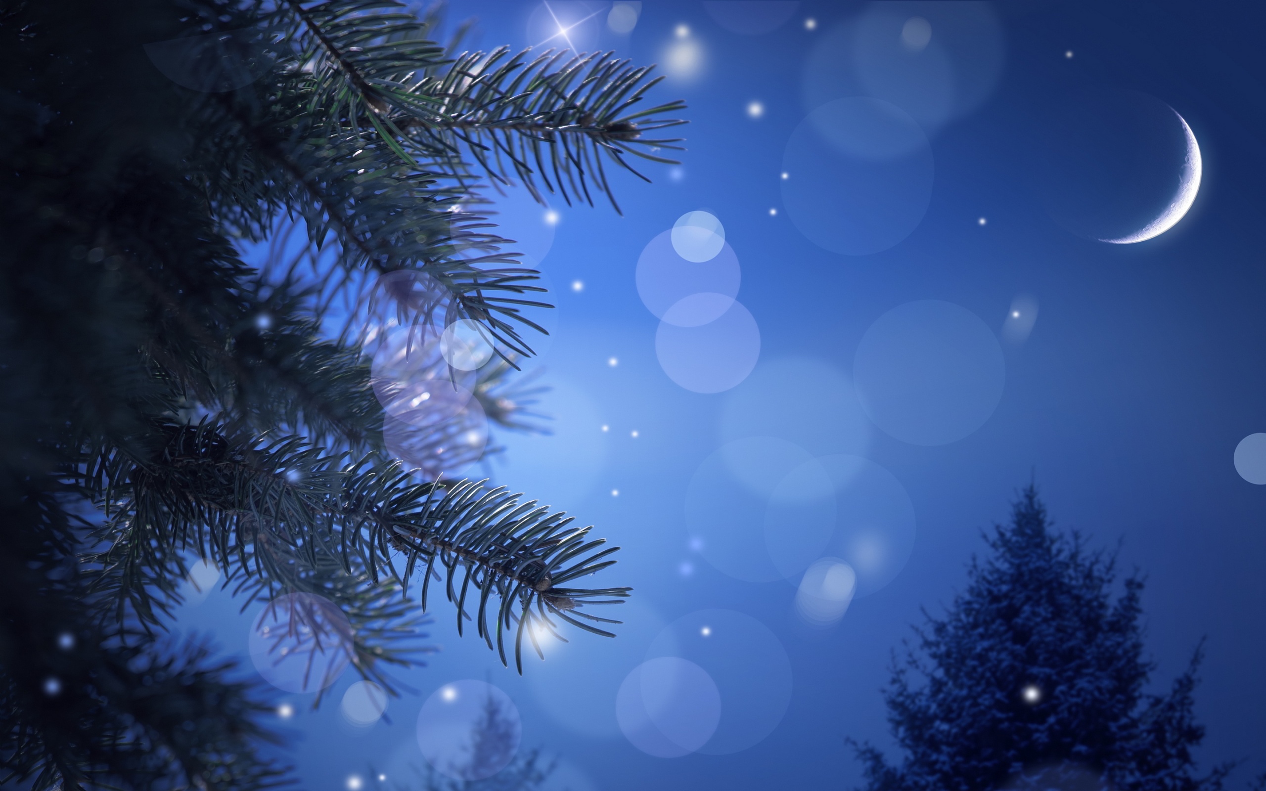 845 Wallpaper Christmas Night Picture - MyWeb