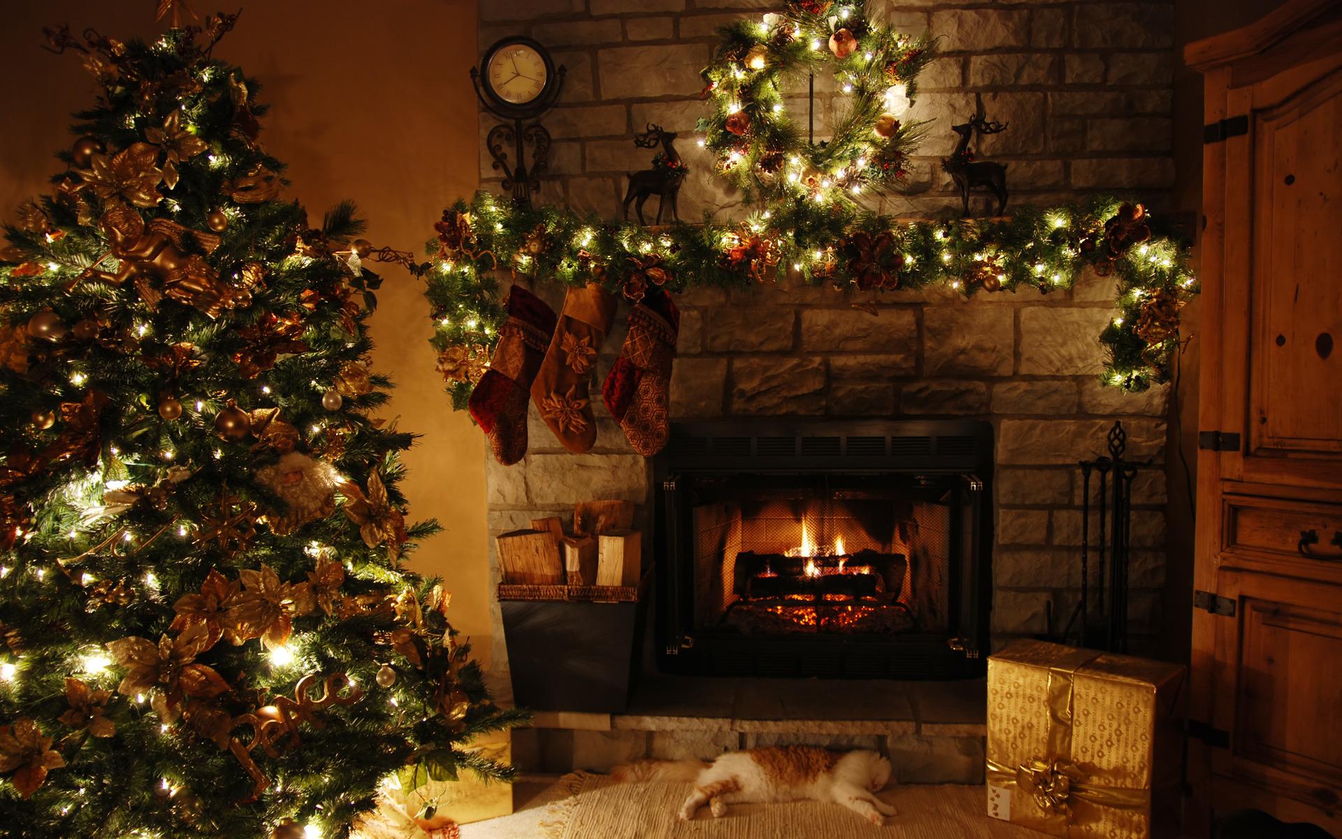 Rustic Christmas Wallpaper - Christmas Tree Home Background - HD Wallpaper 