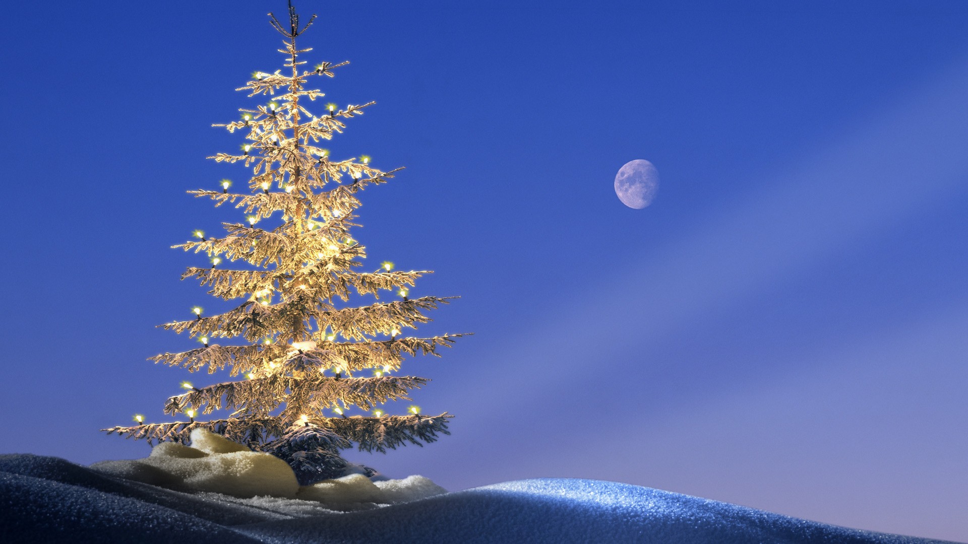 Christmas Tree And Hill Background - HD Wallpaper 