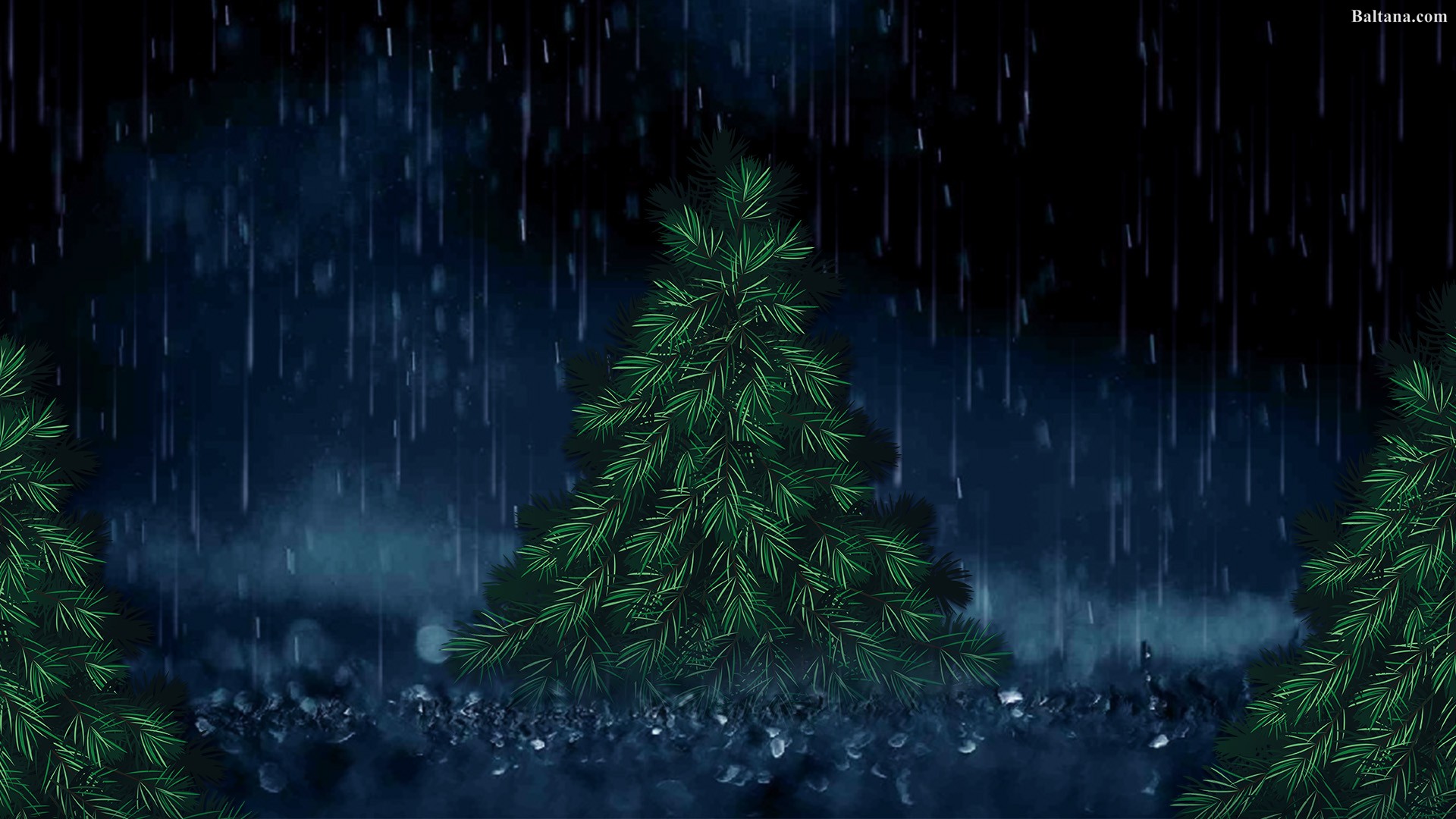 Fir Tree Hd Desktop Wallpaper - Christmas Tree - HD Wallpaper 