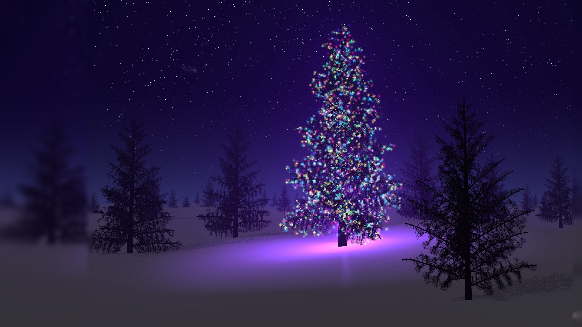 Christmas Tree At Night - HD Wallpaper 