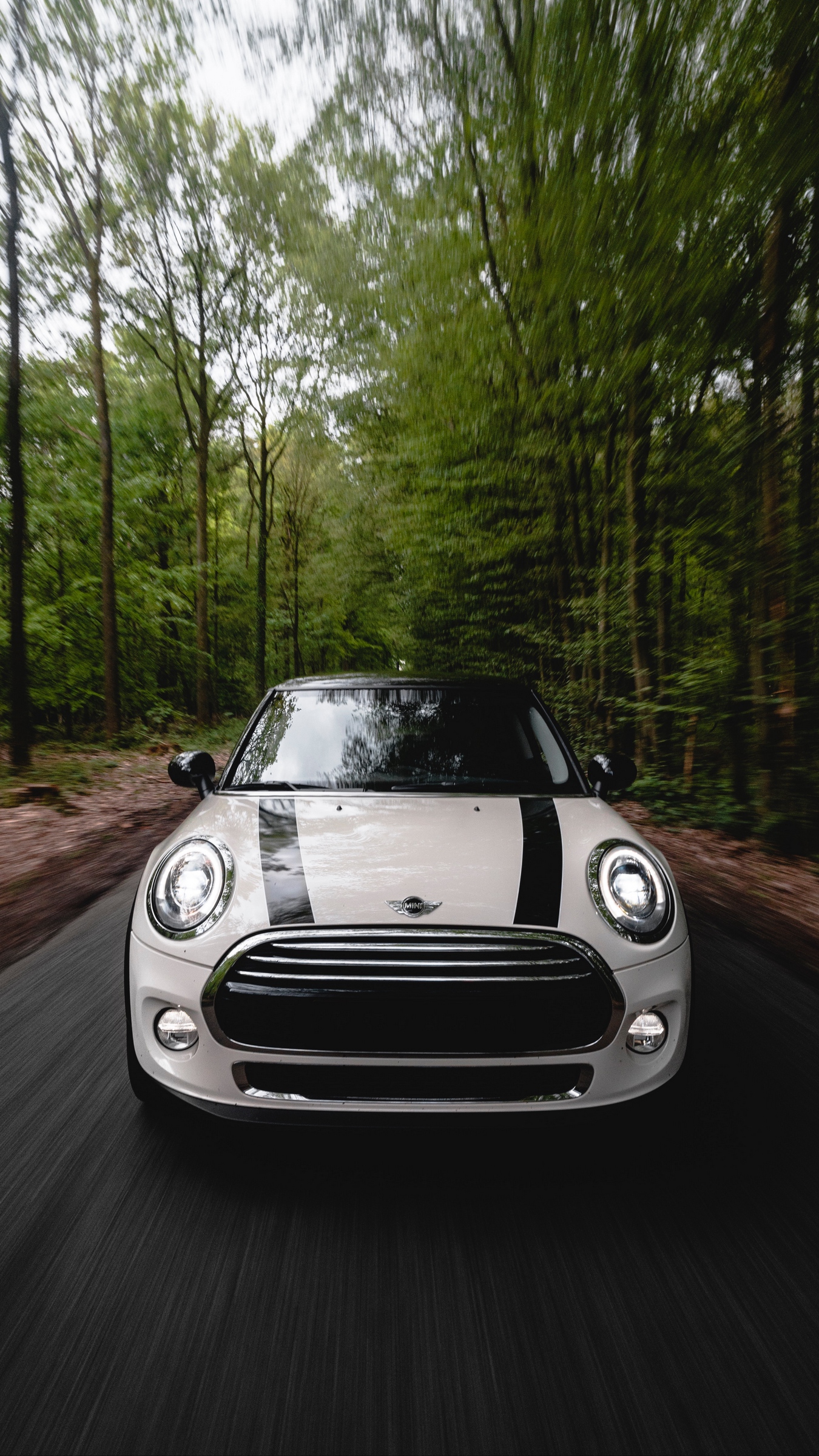 Wallpaper Mini Cooper, Car, White, Front View, Movement, - Mini Cooper Convertible White - HD Wallpaper 