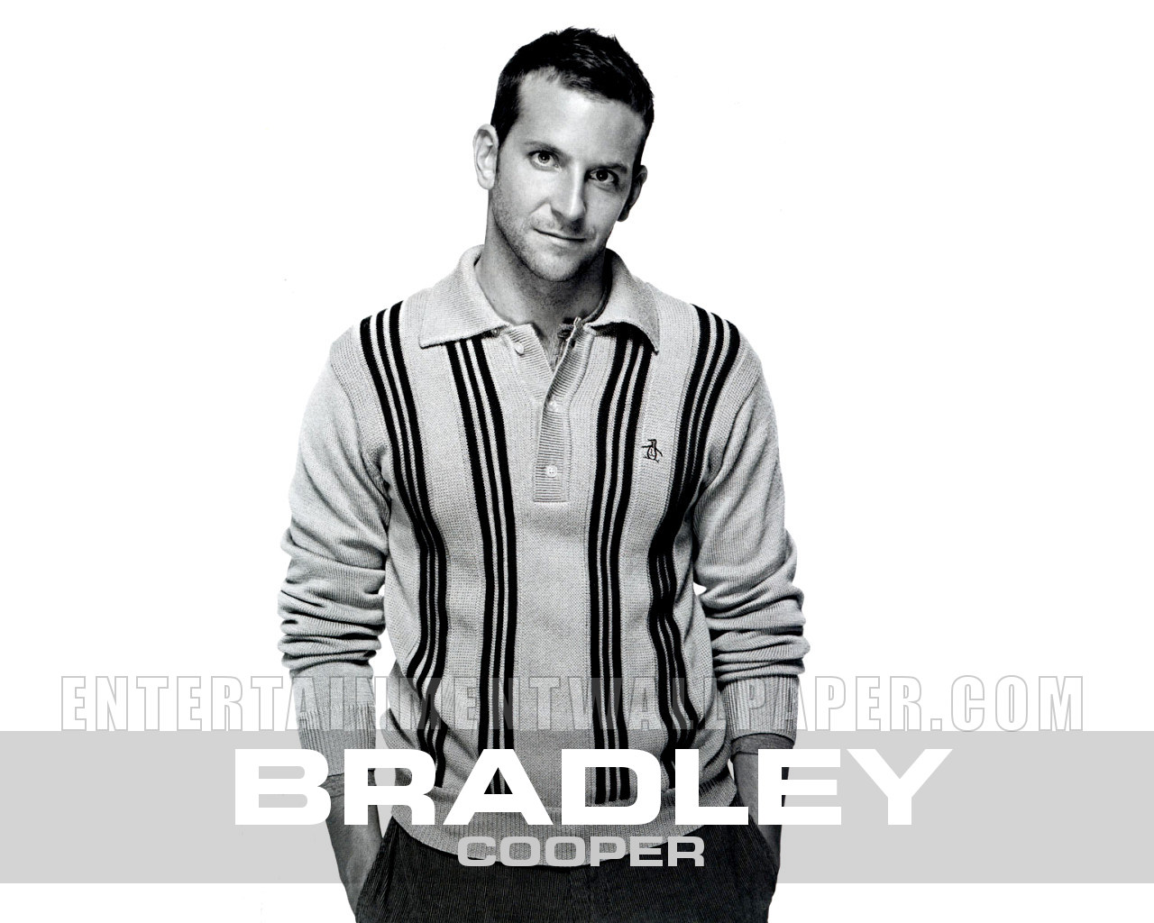 Bradley Cooper - HD Wallpaper 