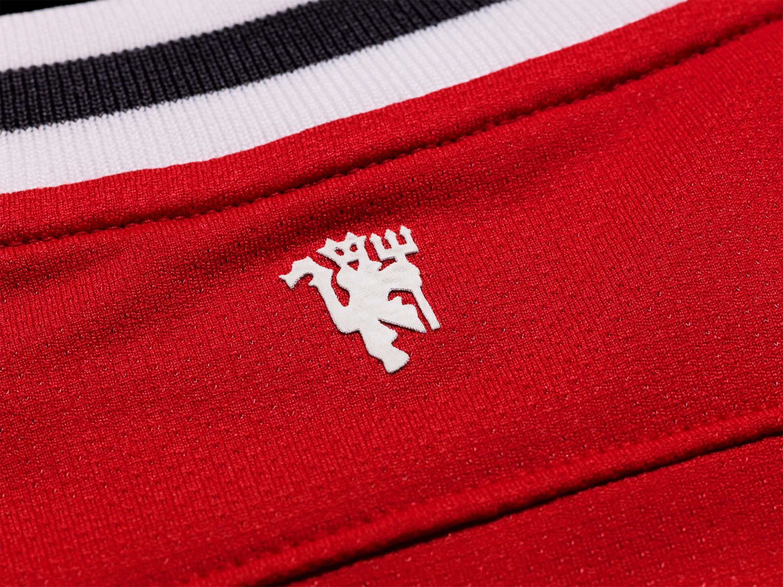 Manchester United Fc Uniform Lion Logo Hd Wallpaper - Manchester United - HD Wallpaper 