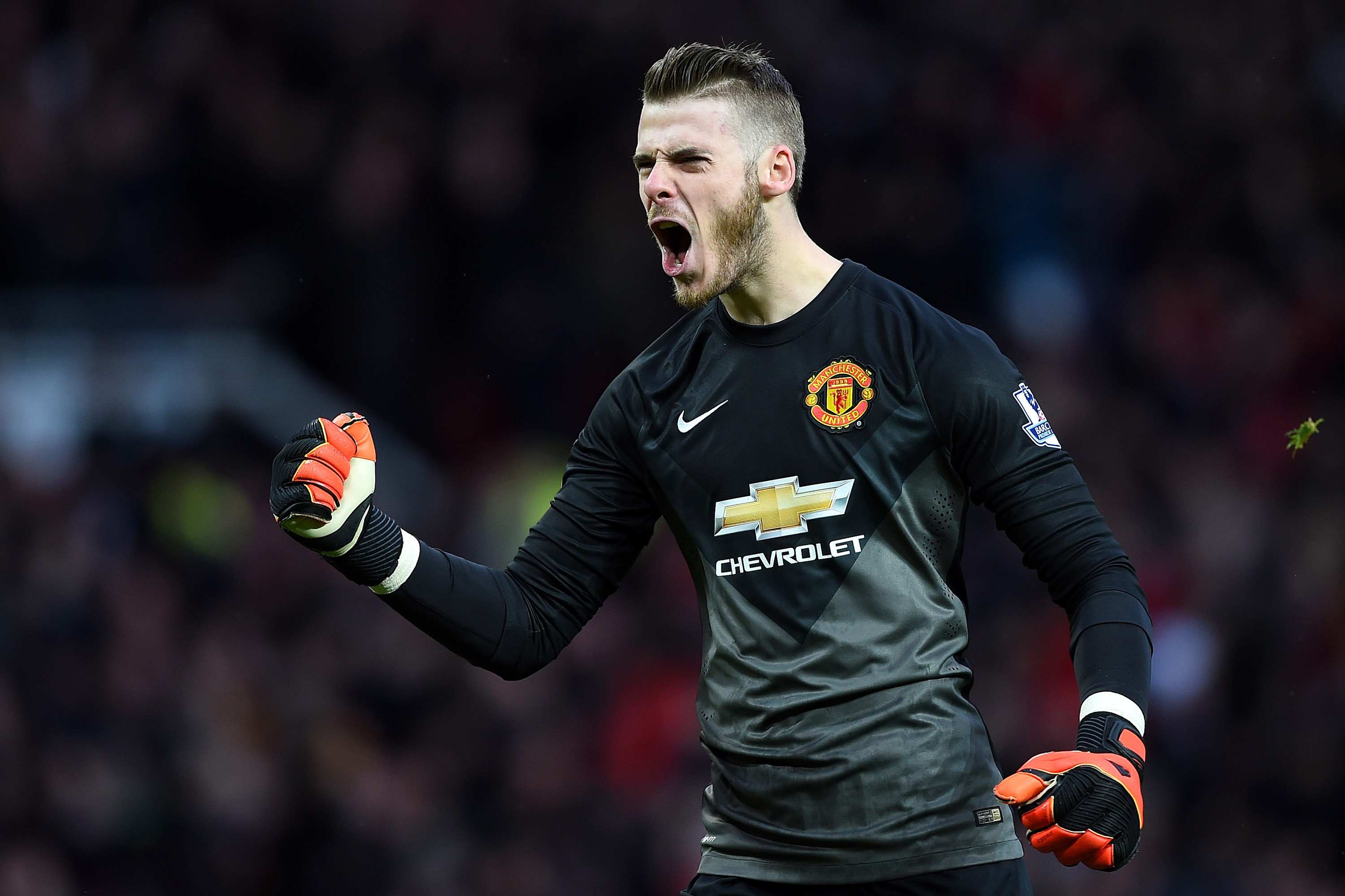 David De Gea - HD Wallpaper 