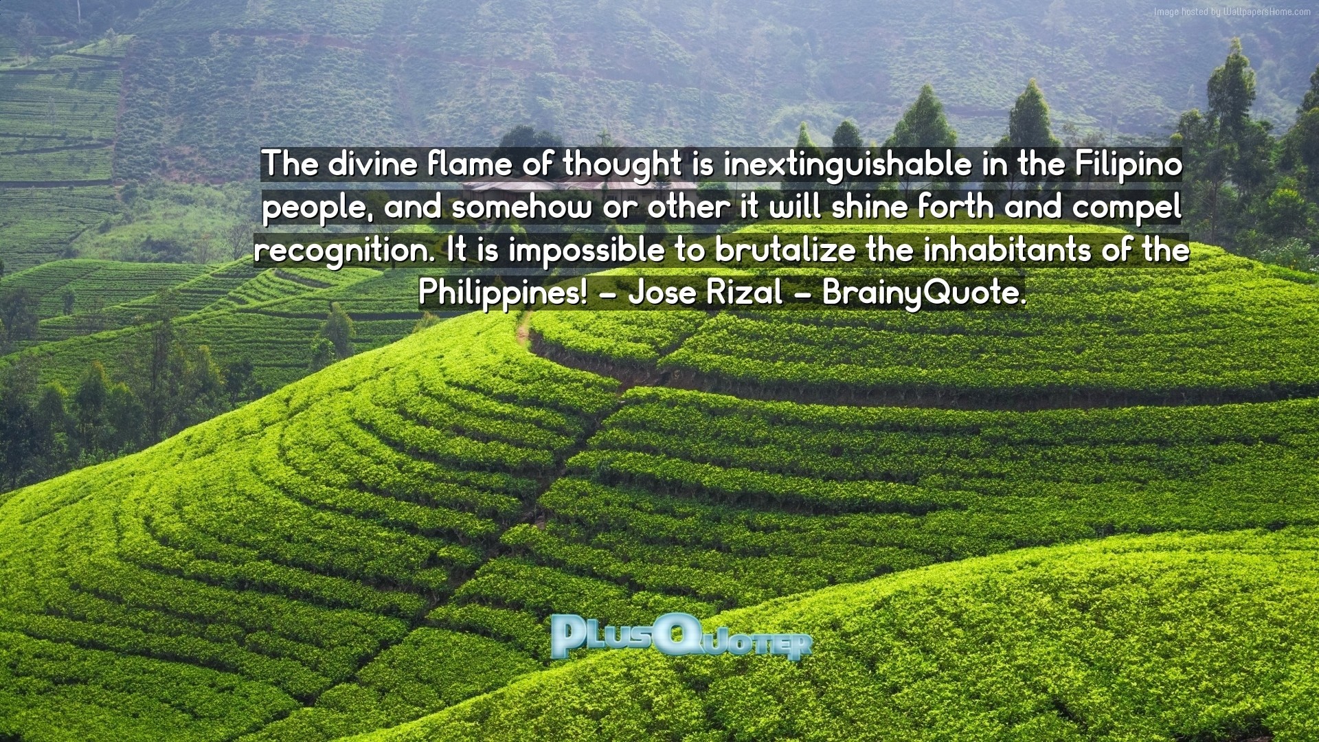 Download Wallpaper With Inspirational Quotes The Divine - Banaue Rice Terraces Quotes - HD Wallpaper 