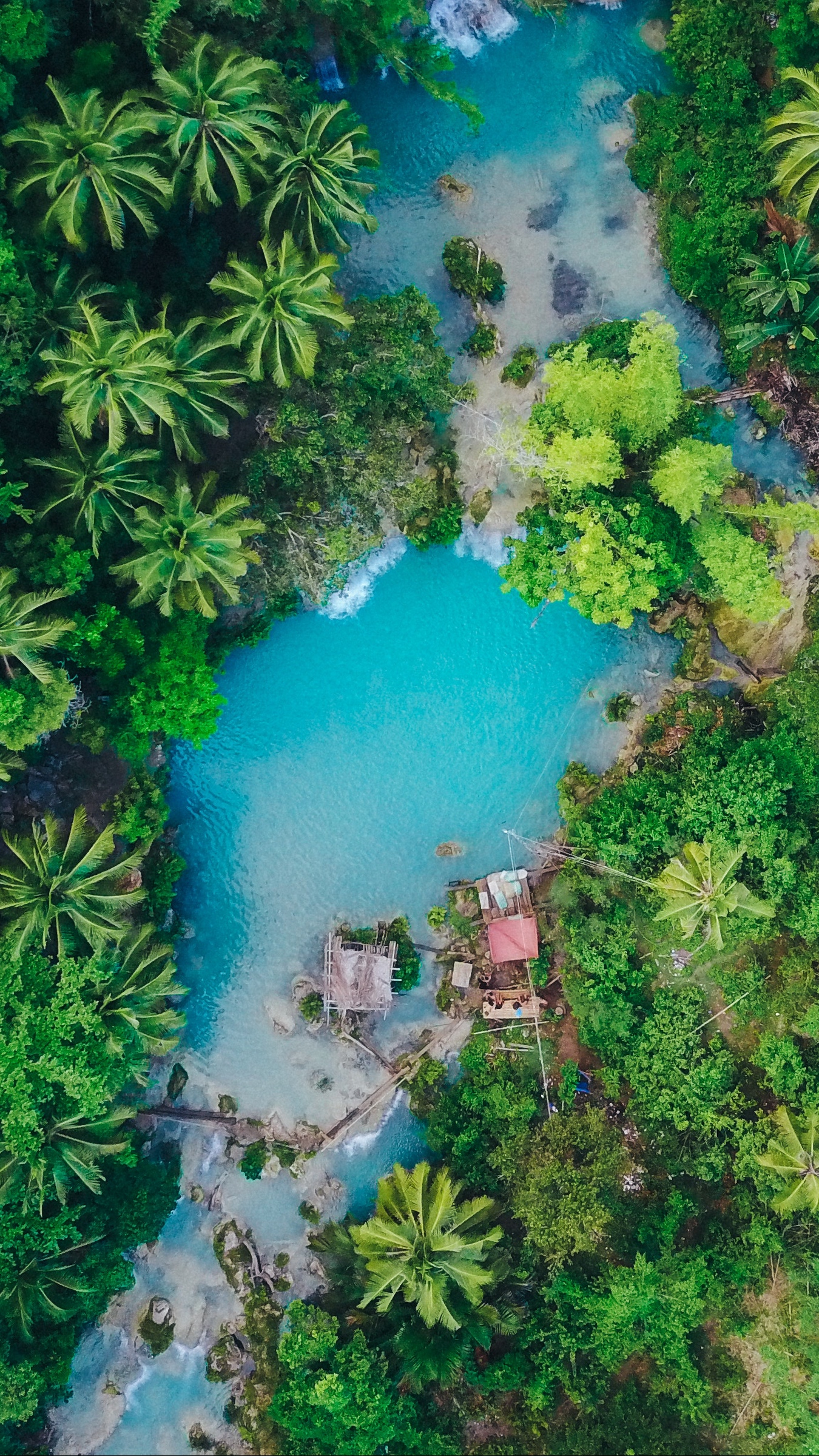 Wallpaper Island, Palm Trees, Top View, Tropics, Siquijor, - Philippine Islands - HD Wallpaper 