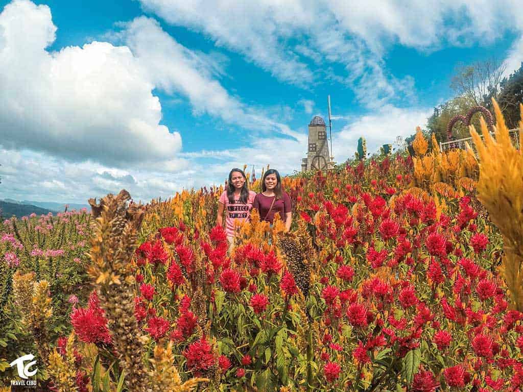 Best Tourist Spot In Cebu - HD Wallpaper 