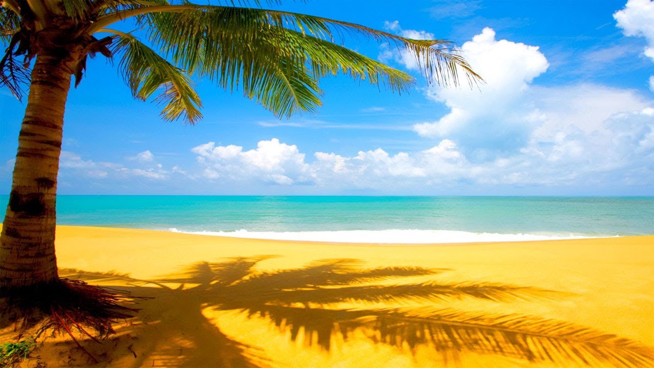 Hawaiian Background - HD Wallpaper 