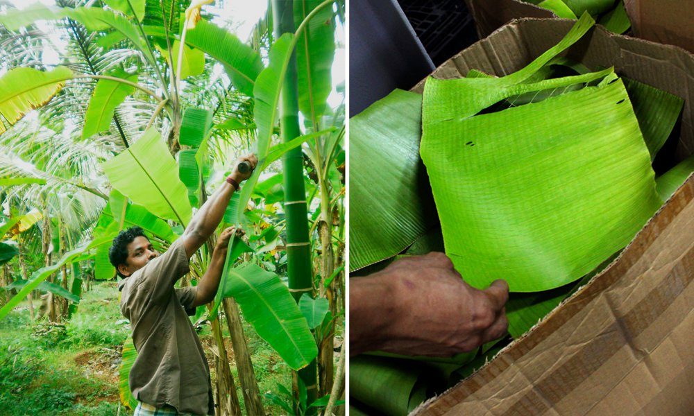 Hoe Lang Duurt Het Voor Een Theezakje Vergaat In De - HD Wallpaper 