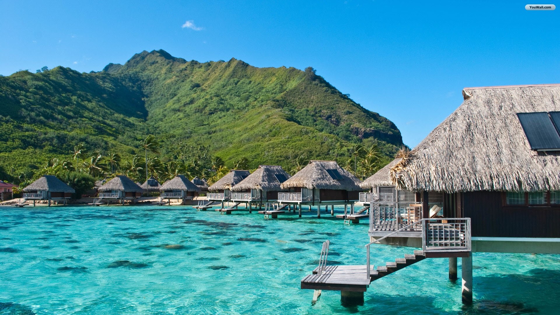 Amazing Beach Wallpapers 
 Data-src /w/full/a/2/5/38832 - Moorea Intercontinental Overwater Bungalow - HD Wallpaper 